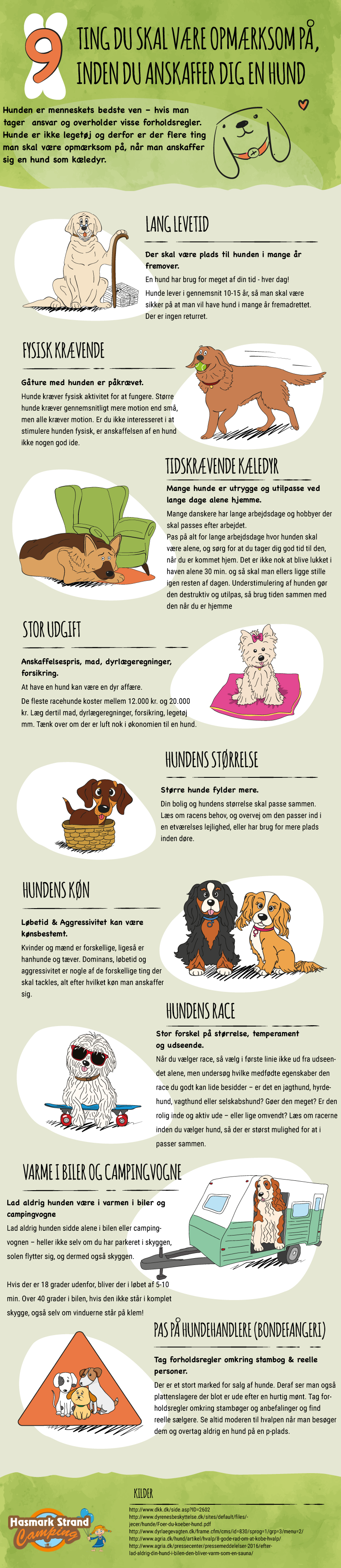 hund hundehvalp hvalp køb anskaffelse opmærksom inden køb