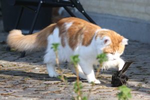 IMG_0113