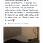 Kat rejst med lastbil fra DK til Sverige