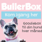 Goodiebox til din hund