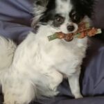 Smukke Nessa